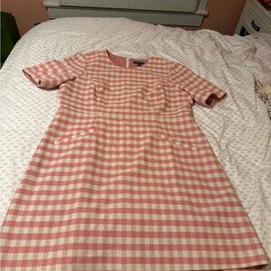 Pink and White j crew women’s gingham dress